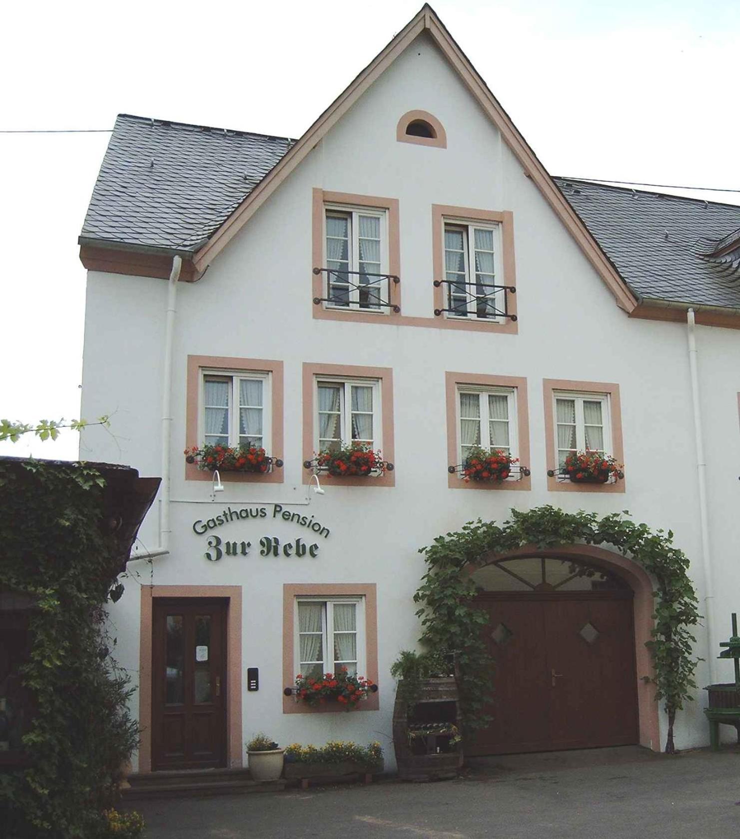Gasthaus Zur Rebe 메링 외부 사진